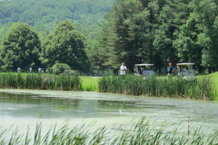 Golf 2019