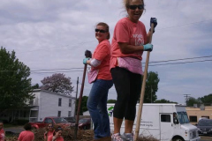 Digging and more digging 2019